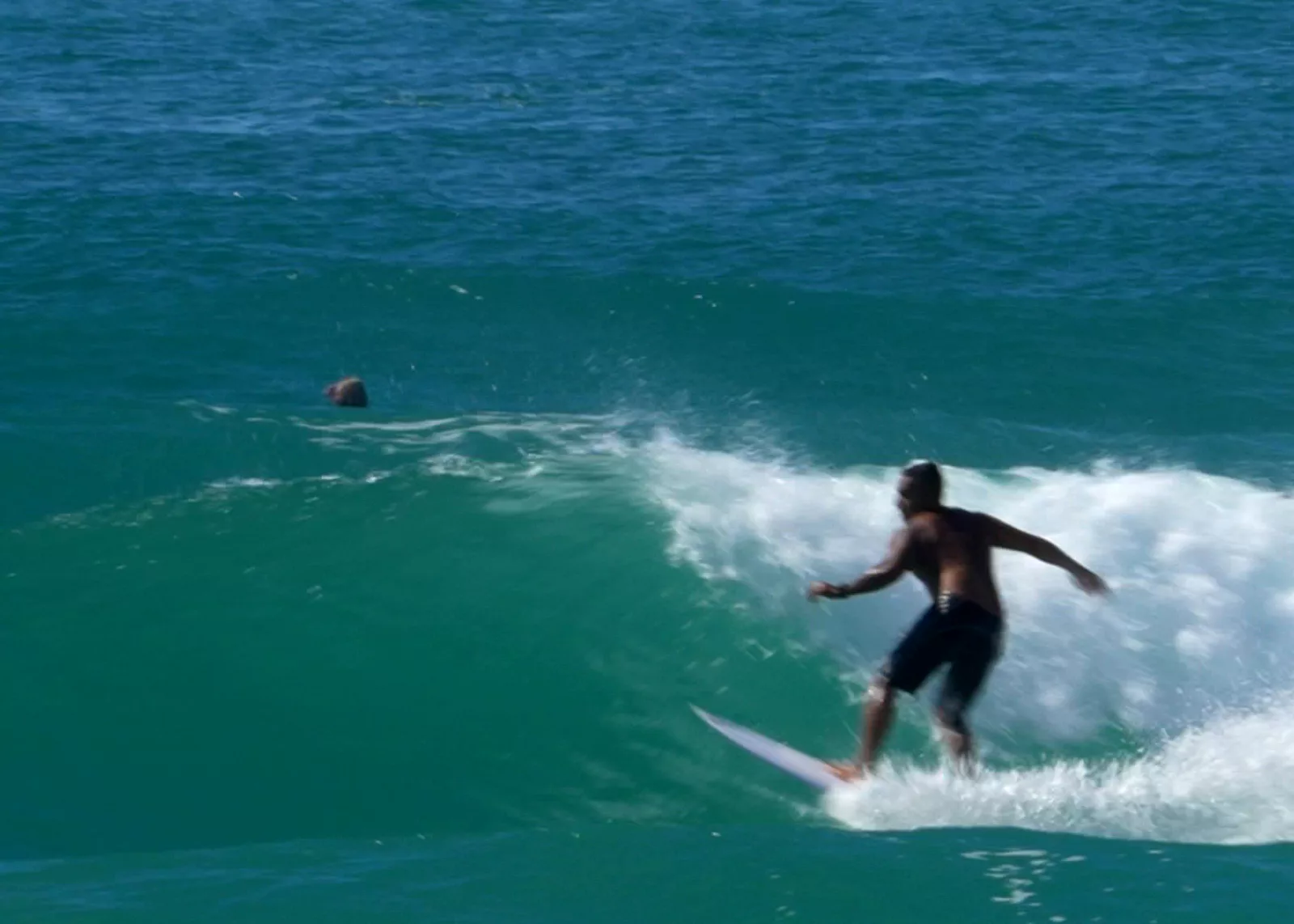 Palm Beach 08-05-25 (17)