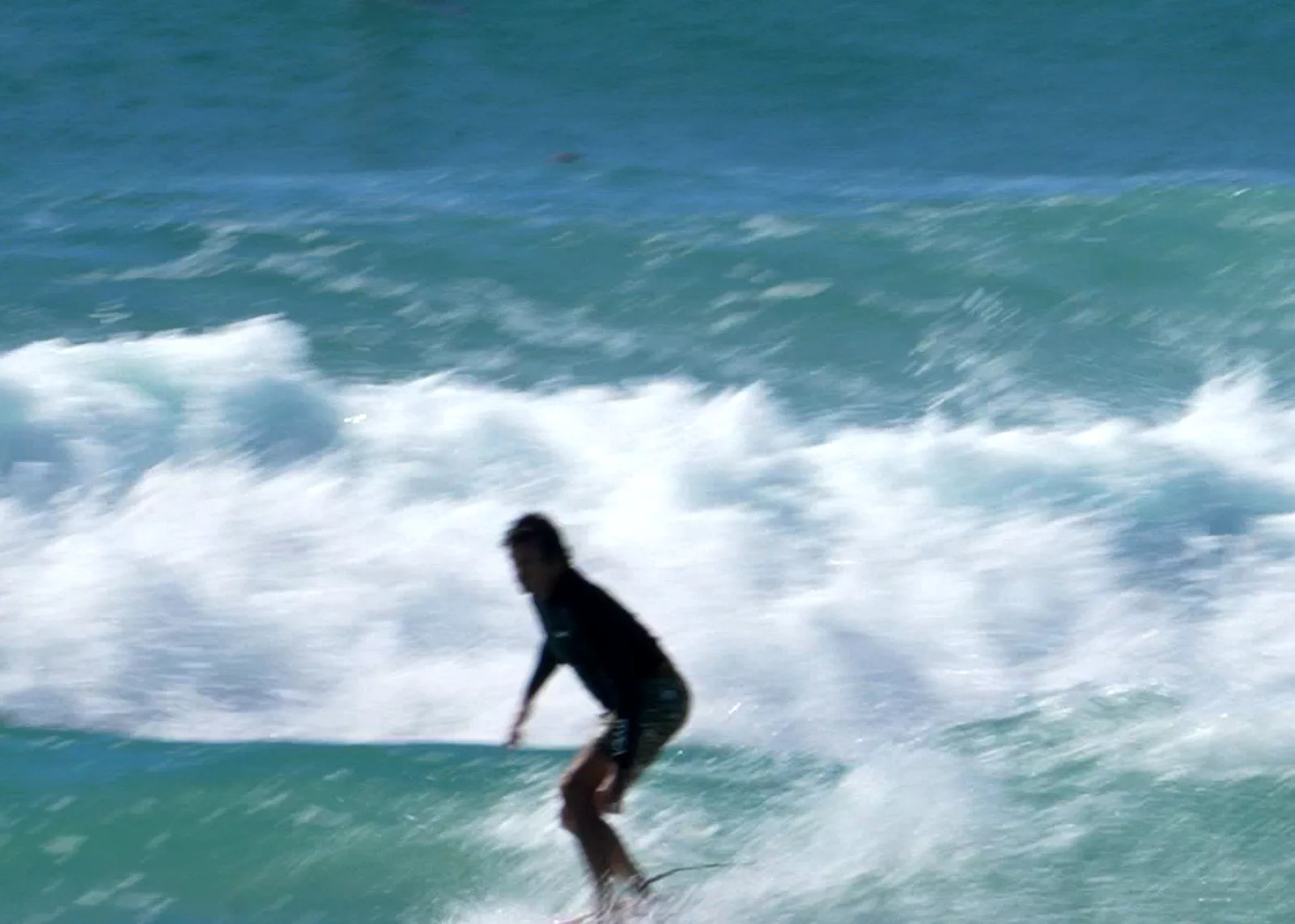 Palm Beach 08-05-25 (7)