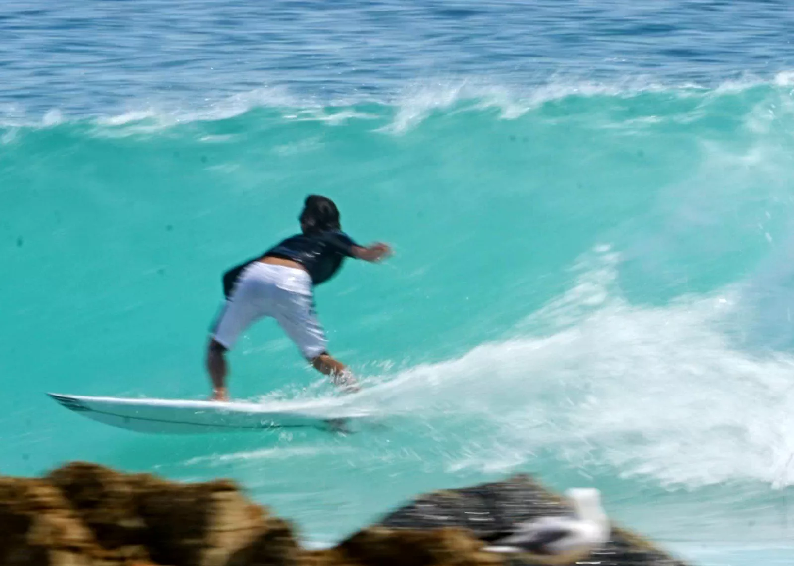 Snapper Rocks 12-12-25 (6)