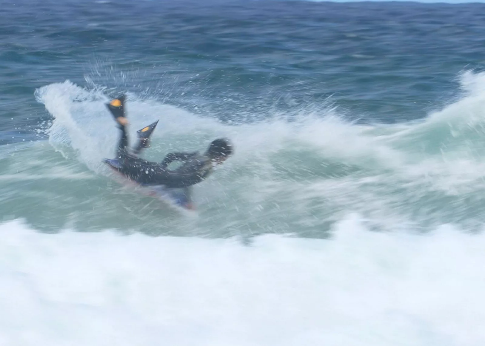 Burleigh Heads 29-10-25 (14)